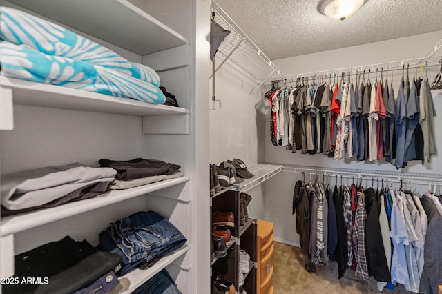 view of spacious closet