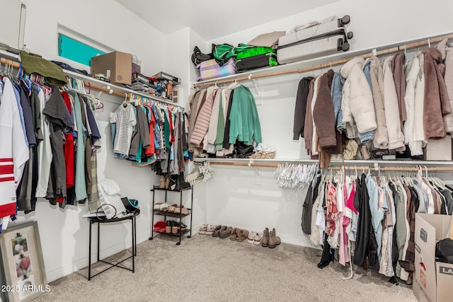 11526 E Shepperd Ave, Mesa, AZ 85212 - walk in closet featuring carpet floors