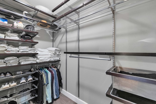 spacious closet with hardwood / wood-style flooring