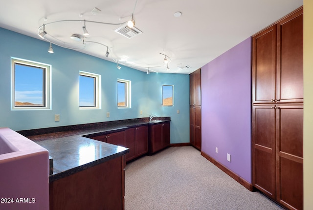 kitchen featuring light carpet and sink