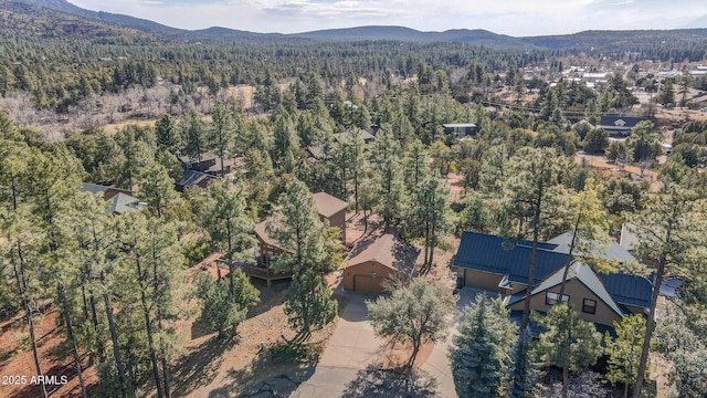 birds eye view of property featuring a mountain view