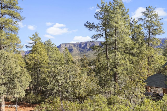 property view of mountains