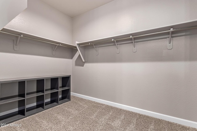 walk in closet featuring carpet floors