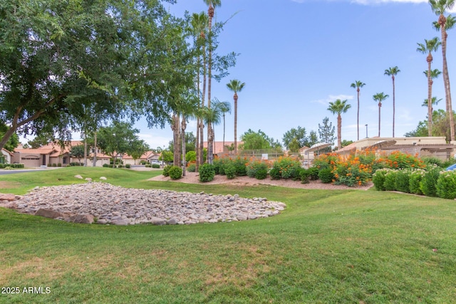 1214 W Sand Dune Dr, Gilbert, AZ 85233 - view of yard featuring a residential view