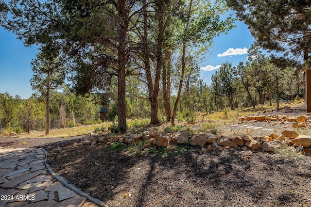 2946 N Lodgepole Rd, Overgaard, AZ 85933 - view of yard featuring a wooded view