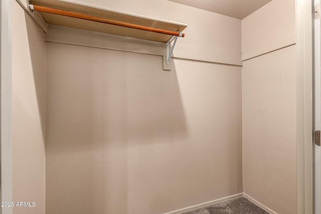 spacious closet featuring carpet floors