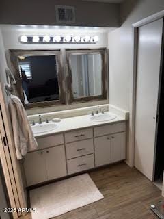 bathroom with vanity and wood-type flooring