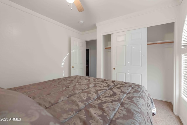 carpeted bedroom with ceiling fan, a closet, and ornamental molding