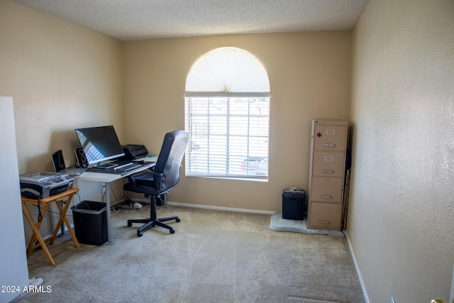 office area featuring light carpet and a textured ceiling