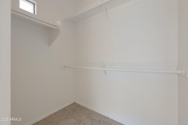 spacious closet featuring carpet