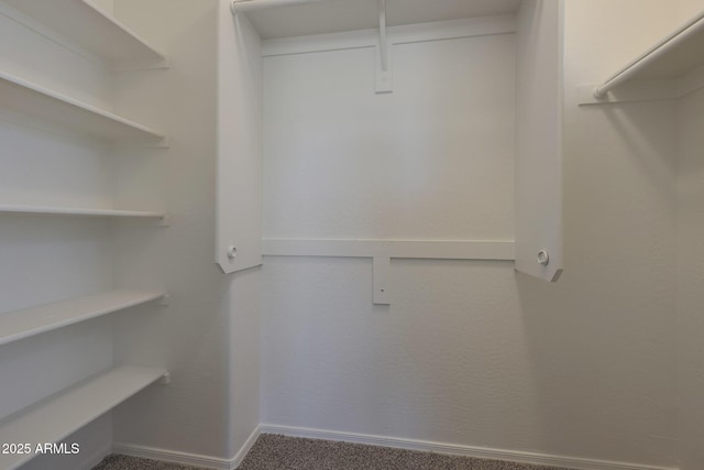 walk in closet featuring carpet flooring