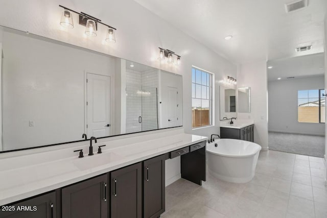 bathroom featuring visible vents, a stall shower, and a sink