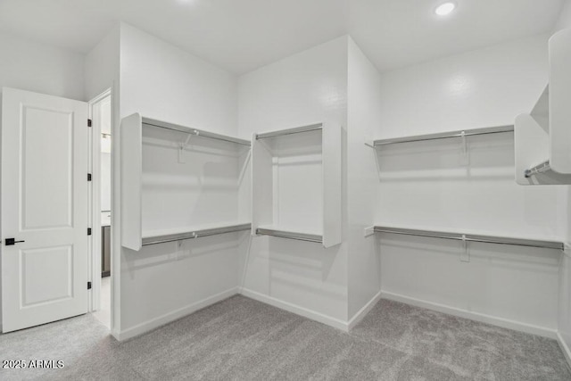 spacious closet with carpet flooring