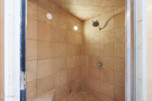 full bathroom featuring a shower stall