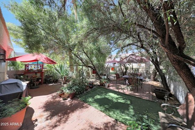 view of yard with a patio and a putting area