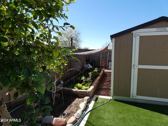 view of yard with a storage shed