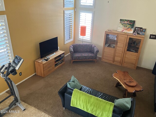 view of carpeted living room