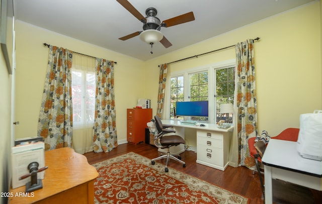 39 E Hoover Ave, Phoenix, AZ 85004 - office with a ceiling fan, baseboards, and wood finished floors