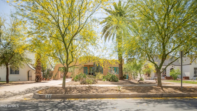39 E Hoover Ave, Phoenix, AZ 85004 - view of front of home with stucco siding