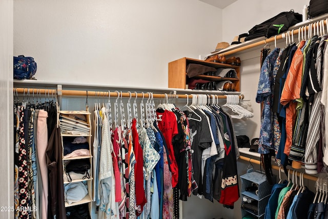 1819 W Deer Creek Rd, Phoenix, AZ 85045 - view of spacious closet