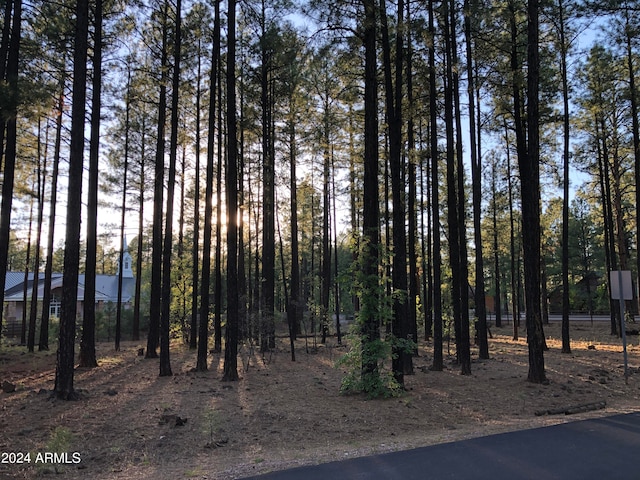 2504 Timber Ridge Ln Unit 1, Pinetop AZ, 85935 land for sale