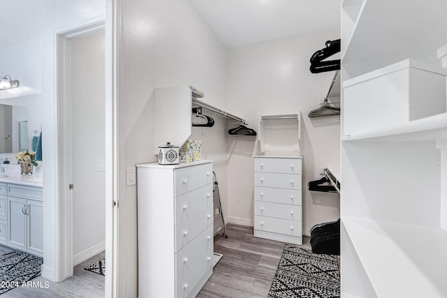 spacious closet featuring light wood-type flooring