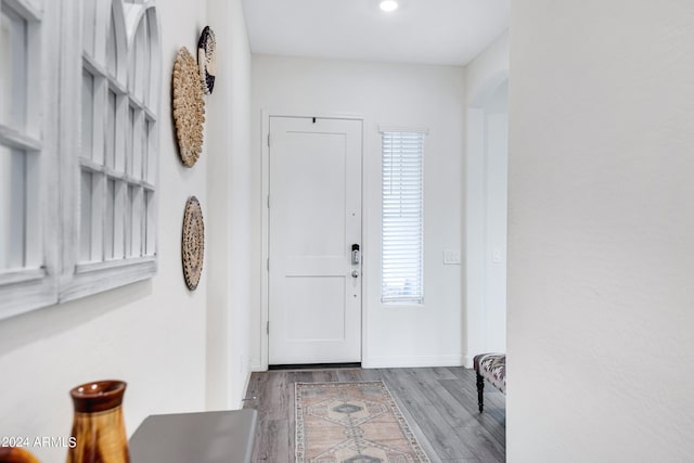 foyer entrance featuring wood-type flooring and a wealth of natural light