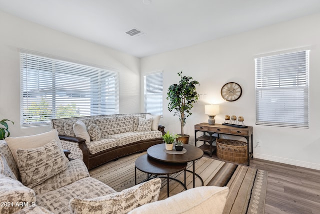 living room featuring hardwood / wood-style floors