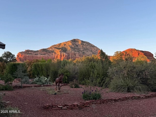 view of mountain feature