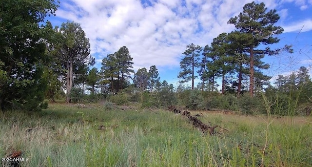 5139 State Route 260 -, Unit Clay Springs AZ, 85923 land for sale