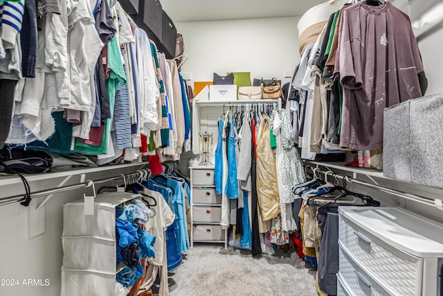 spacious closet featuring carpet flooring