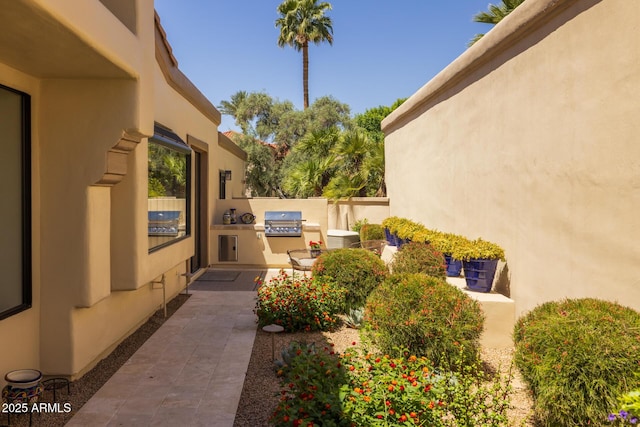 10429 N 101st St, Scottsdale, AZ 85258 - view of yard with an outdoor kitchen and a patio