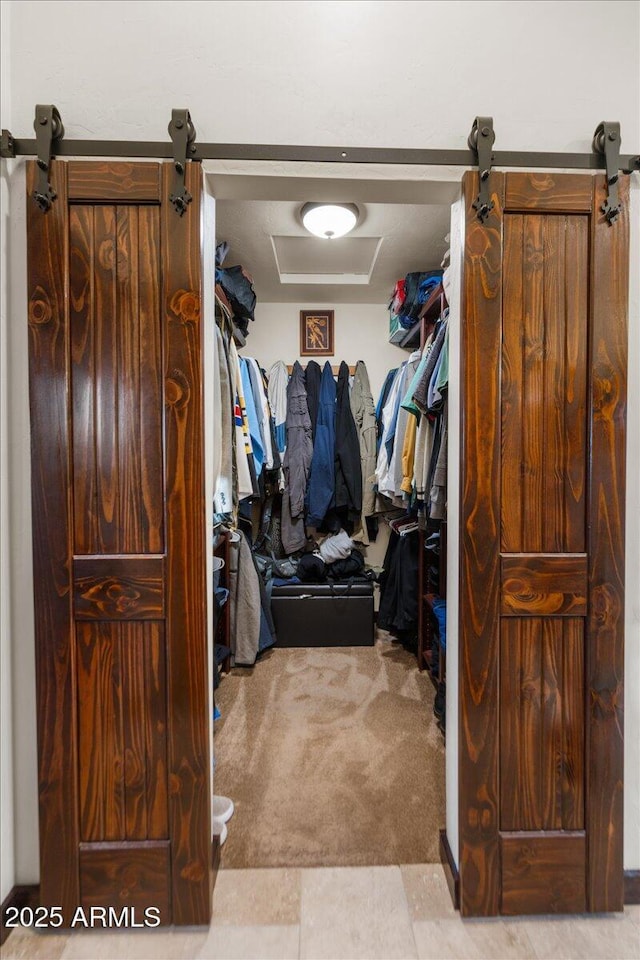 walk in closet with light colored carpet and a barn door