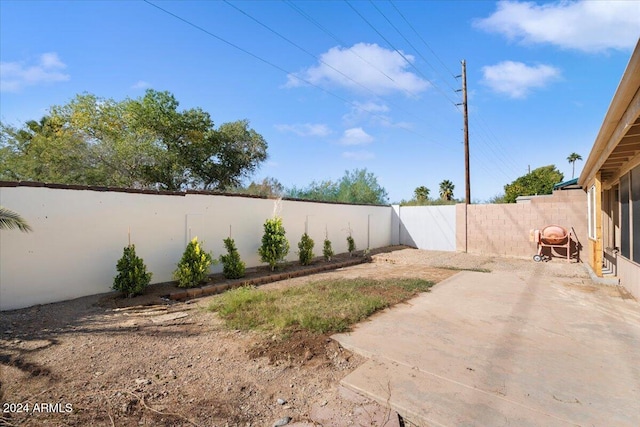 view of yard with a patio area