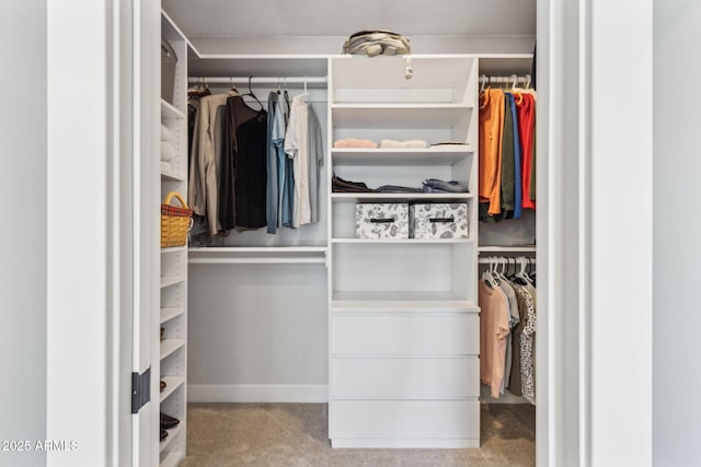 view of closet