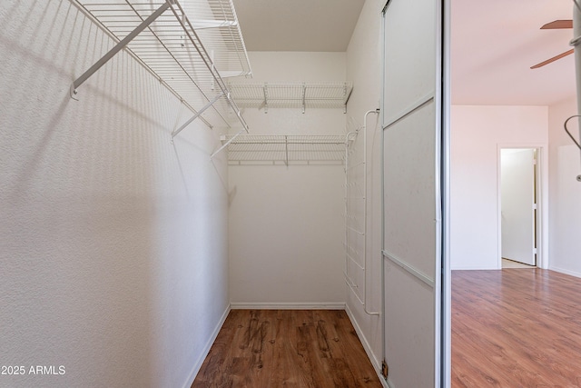 14244 N 132nd Ln, Surprise, AZ 85379 - walk in closet with ceiling fan and wood finished floors