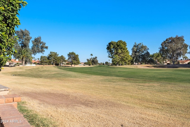 view of community with a yard