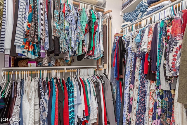 view of spacious closet