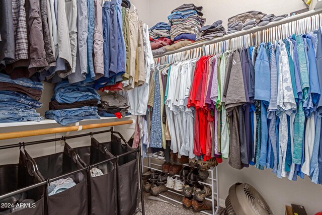 spacious closet with carpet