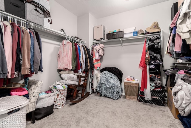 spacious closet featuring carpet flooring