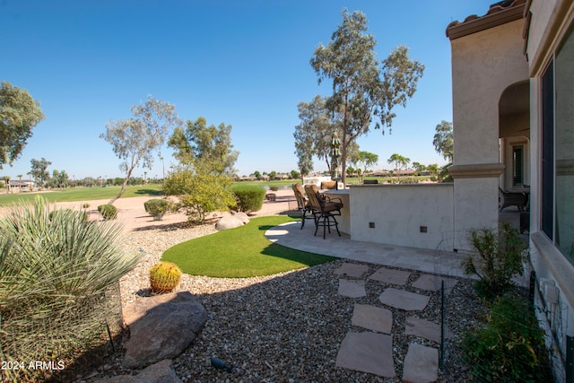 view of yard with a patio area