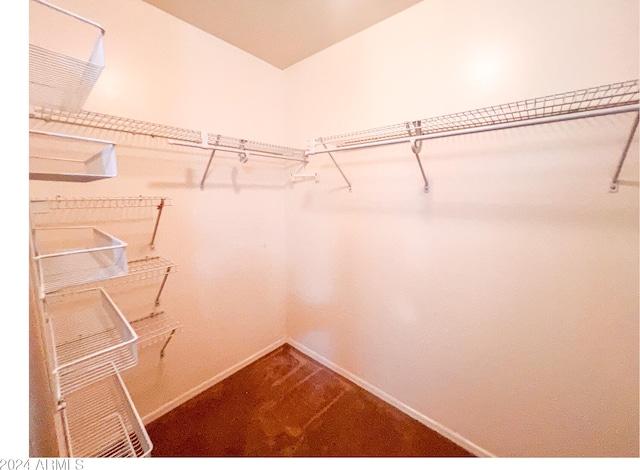 spacious closet featuring carpet