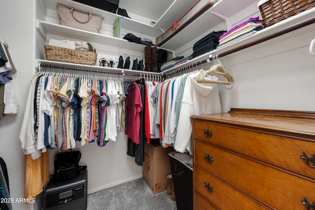 4466 S Brice, Mesa, AZ 85212 - spacious closet featuring carpet floors