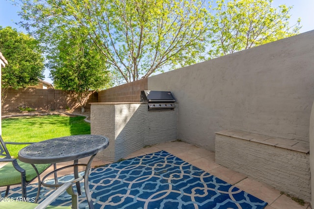 view of patio / terrace with a fenced backyard and grilling area