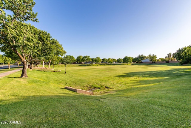 view of property's community featuring a yard