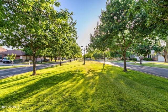 view of community with a lawn