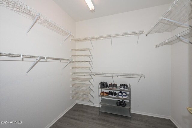 spacious closet featuring dark hardwood / wood-style flooring