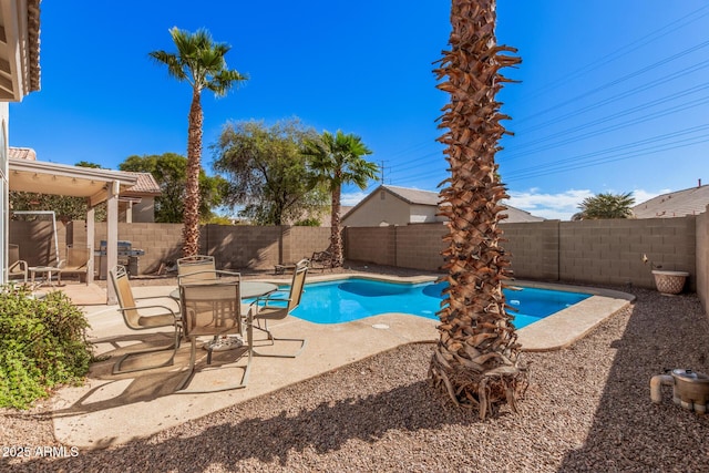 view of swimming pool featuring a patio area