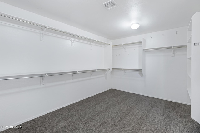 43232 W Magnolia Rd, Maricopa, AZ 85138 - walk in closet with dark colored carpet