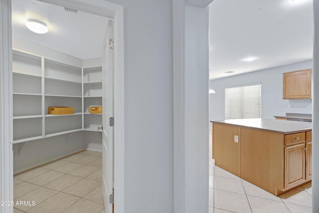 43232 W Magnolia Rd, Maricopa, AZ 85138 - view of pantry